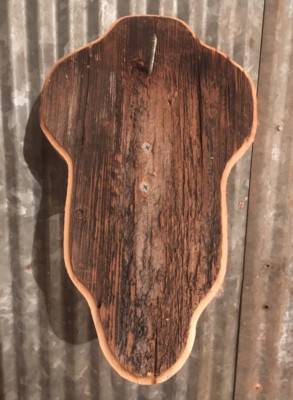 European Deer Skull Mount Wall / Table Pedestal Plaque Oak (Golden oak