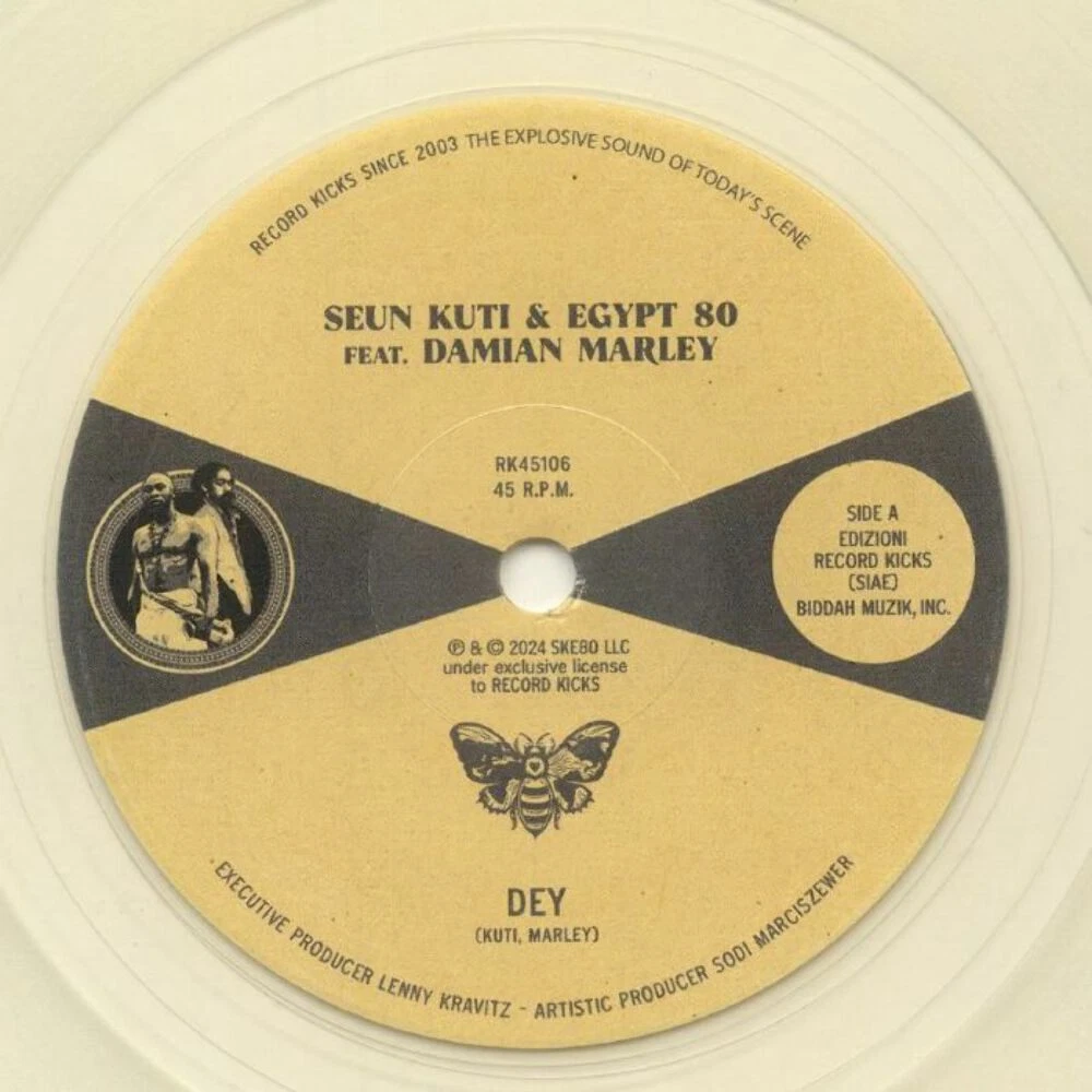DAMIAN MARLEY レコード Damian Marley In Vinyl Records for sale | eBay