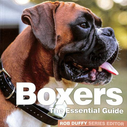 Boxers : The Essential Guide by Rob Duffy (2020, Trade Paperback)