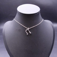 Tiffany & Co. Elsa Peretti Initial 'N' Pendant Necklace Sterling Silver 925