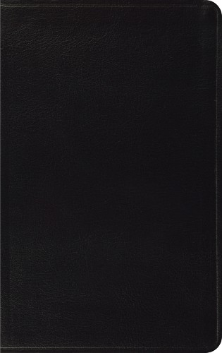 ESV Thinline Bible, Red Letter - 9798874903572