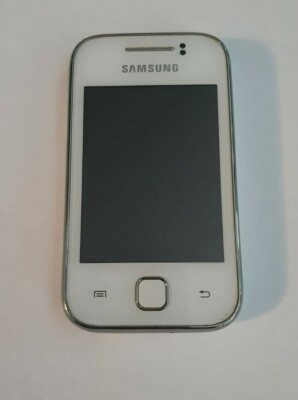 Samsung Galaxy Young S5369 Defekt