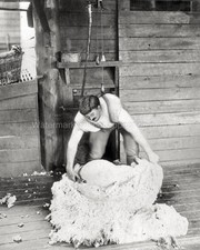 Estación de Burrawong Australian Shearer Work NSW lana de oveja de colección Foto siglo XIX.