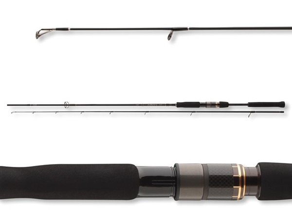 Daiwa Airity Spin 2,40M 28-70G Spinnrute Hechtrute Zanderrute-image