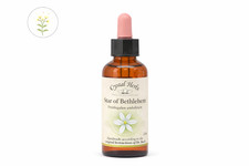 Star of Bethlehem - Bach Flower Remedies