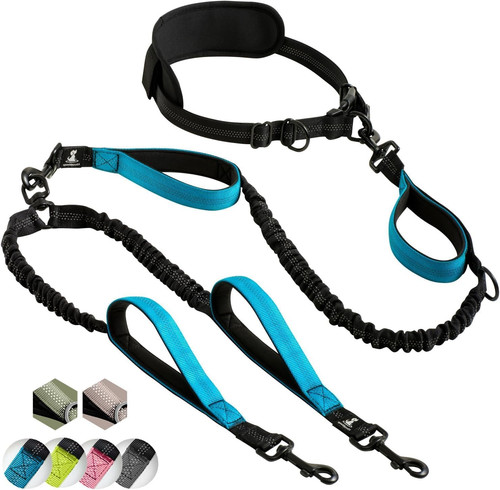 Hands Free Double Dog Leash – Dual Leash for Medium and Large Breeds – Lead for