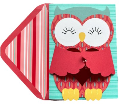 $0 SHIP - FAB!!   PAPYRUS Valentines Displayable Owl Embracing Heart Card