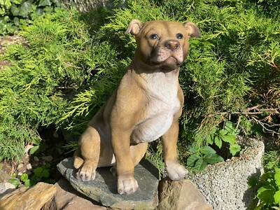 Deko Pit Bull American Staffordshire Terrier Hundefigur