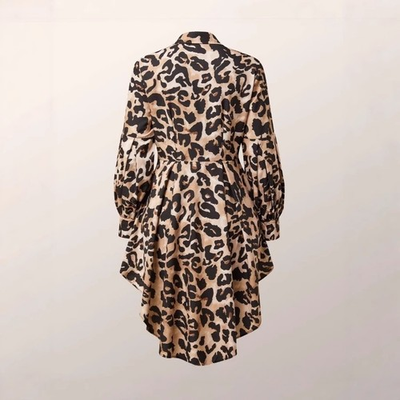 #ad Asymmetrical Design Long sleeved Top Ruffle Edge Leopard Print T Shirt Dress $36.96