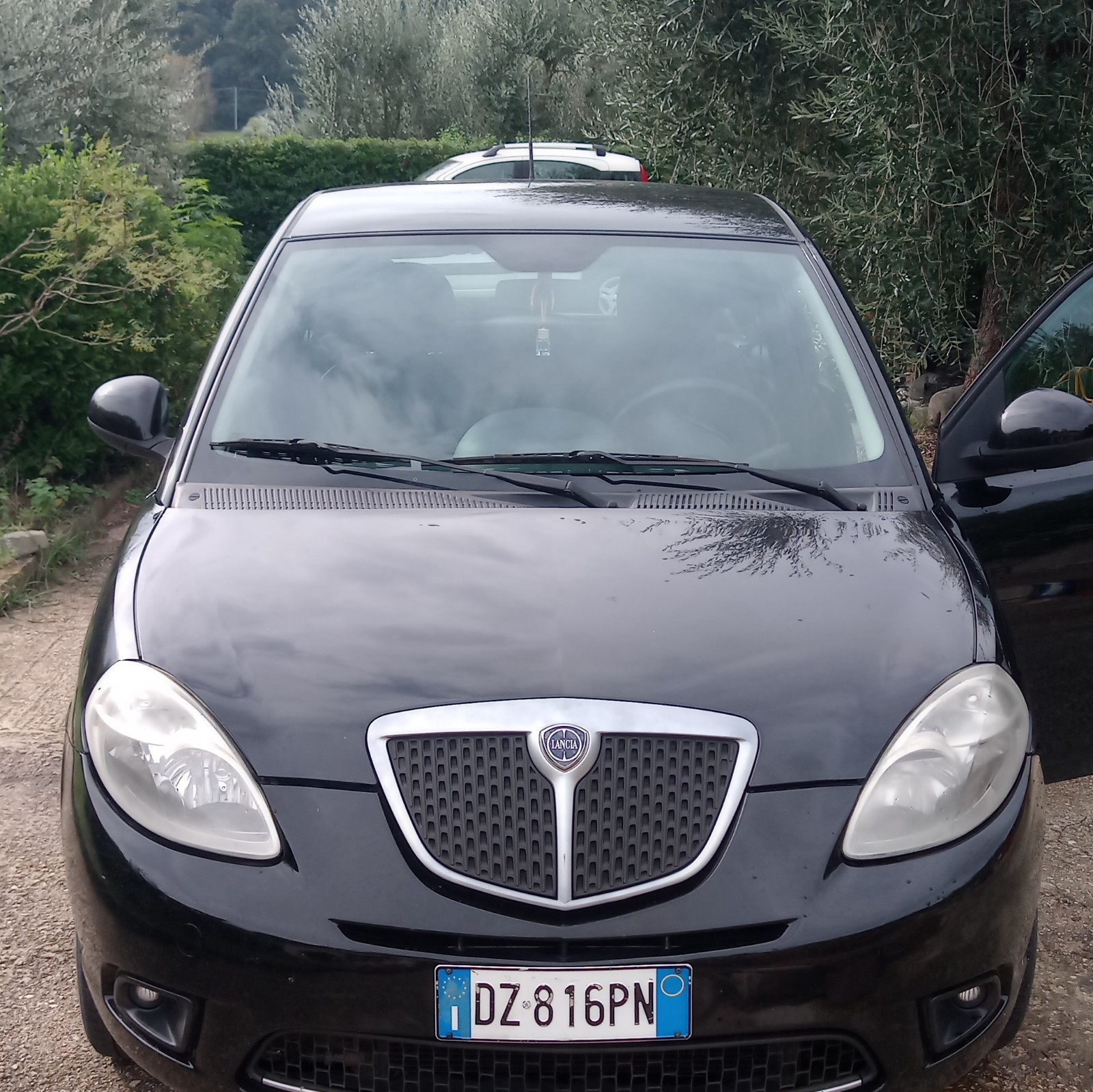 Lancia Ypsilon Ecoshic foto 2