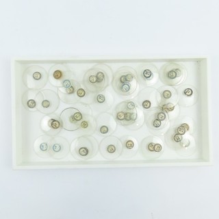 American 18 Size Open Face Beveled Glass Labeled Pocket Watch Crystals