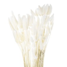120 St&uuml;ck Nat&uuml;rliche Kaninchenh&auml;schen-Schw&auml;nze Getrocknete Blumen 24" , Wei&szlig;