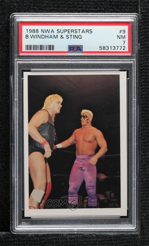 1988 Wonderama NWA Barry Windham, Sting #9 card