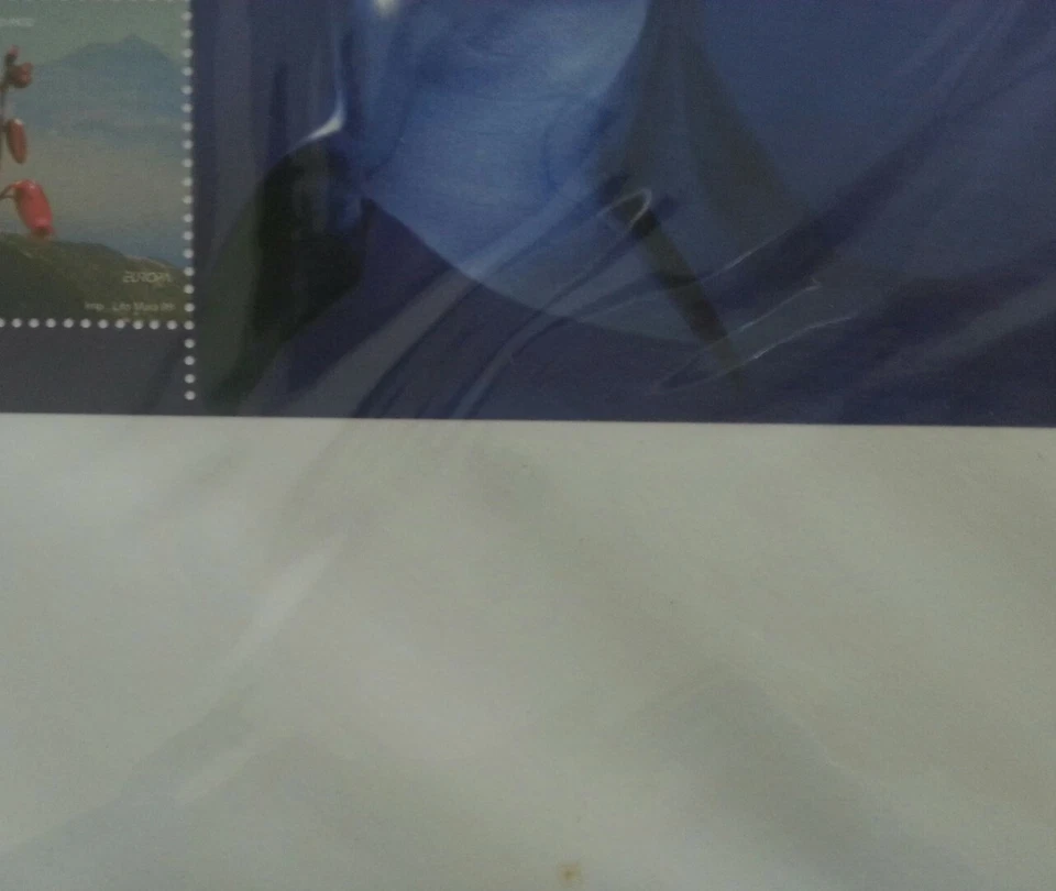 Portugal Reserva Natural 1999 Zorro Delfín Vida Silvestre Flor (FDC) *ver escaneo Foto 2 de 4