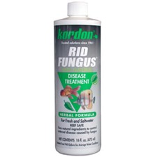 Kordon Rid Fungus 16oz Reef Safe Disease Treatment 100 Natural Herbal Formula