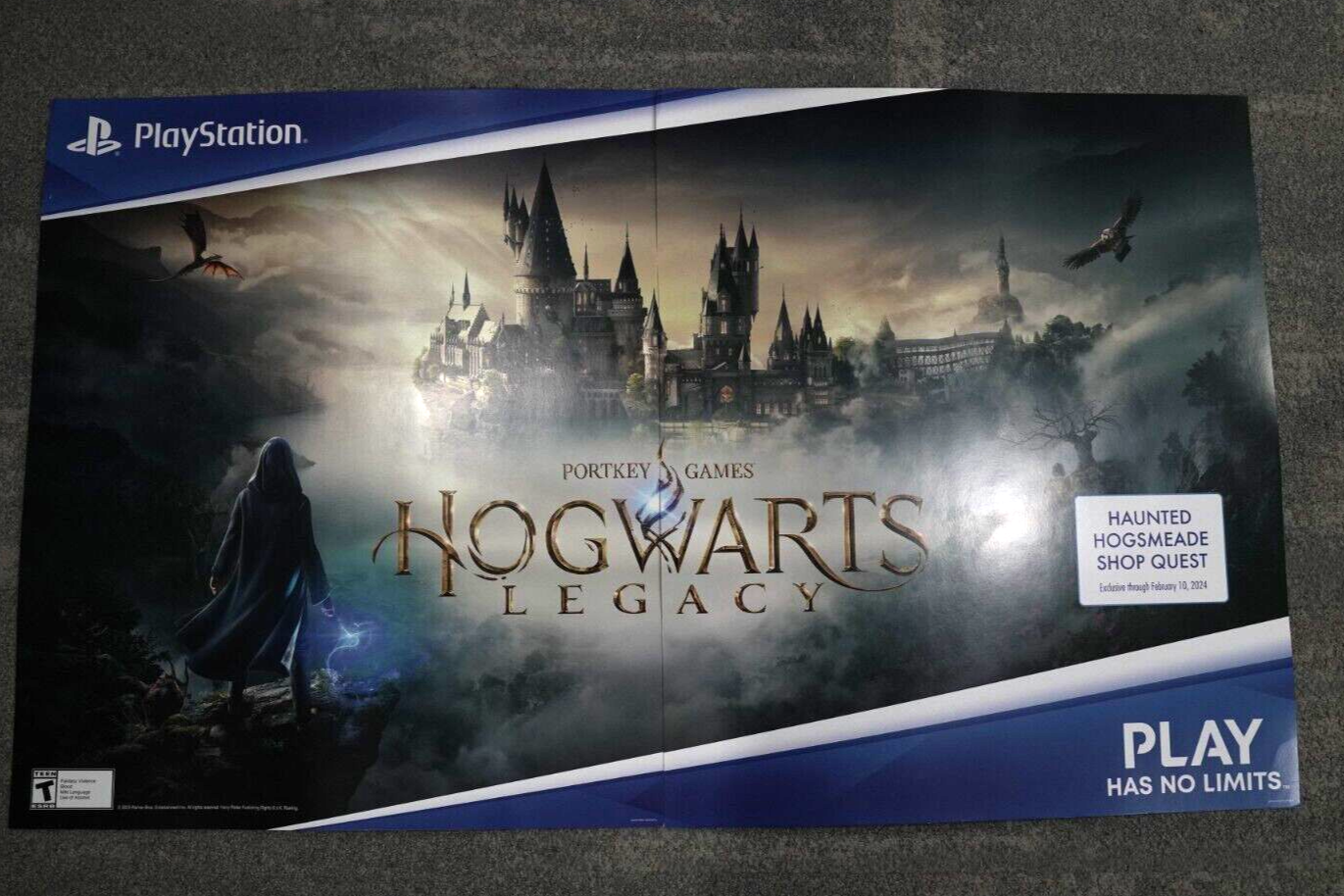Hogwarts Legacy GameStop Promo Poster 28"x48" Never Displayed! 2