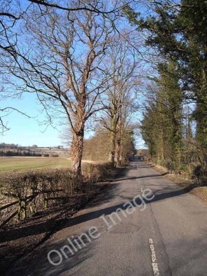 Foto 6x4 von Bäumen gesäumte Straße nach Sandhoe Das Anwesen Beaufront Castle liegt um c2010