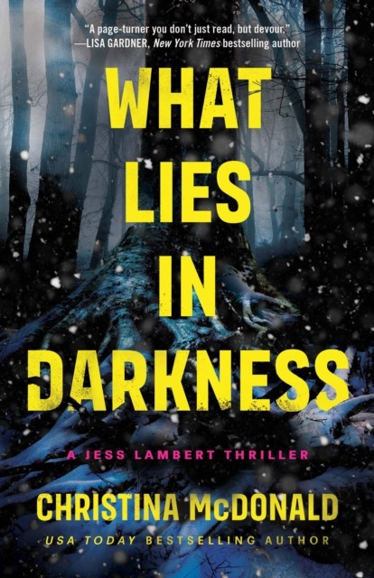 What Lies in Darkness by Christina McDonald (Paperback Book)