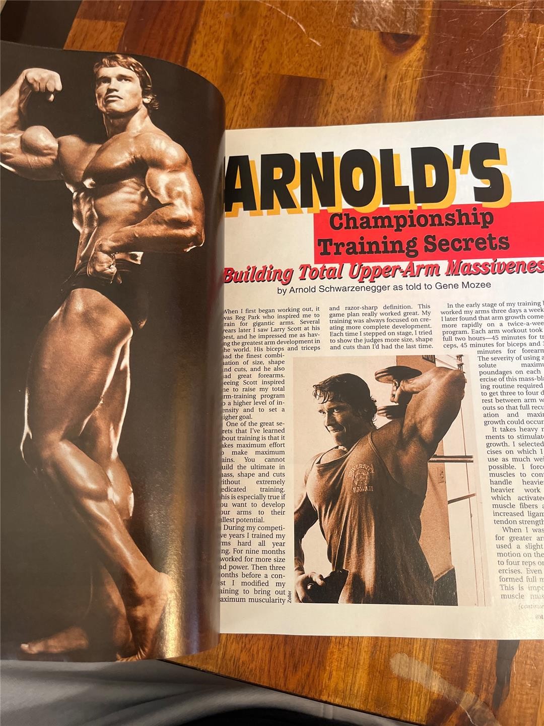 IRONMAN muscle magazine DEBBIE DOBBINS Arnold Schwarzenegger poster 2-94