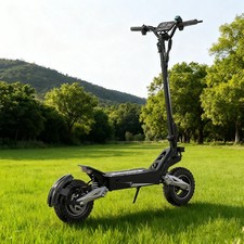 OOTD T10 900W Electric Scooter 11'' Off Road Foldable E Scooter 31MPH 28Miles US