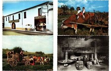 ALCOHOL WINE PRODUCTION 43 Vintage Postcards mostly pre-1970 (L4422)