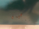 Vintage Makita Metal Drill Case Steel Case . 11 3/4” L X  9 3/4” W X  3” D. Used — photo 3