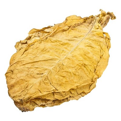 Virginia Gold Tabakblätter Tabak Rohtabak ab1 kg Premiumqualität Staffelpreise