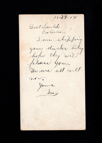 POULTRY FOWL Breeder Postcard Dealer Note: Ducks Shipped Bliss NY 1914 9b - Picture 3 of 3