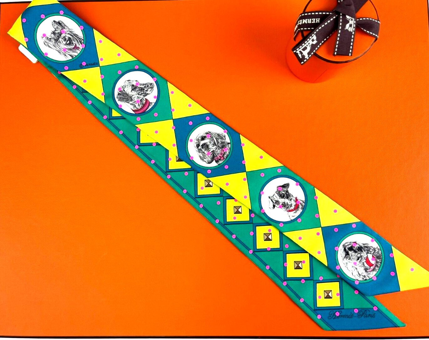 colliers et chiens twilly