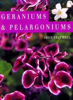 Geraniums & Pelargoniums, Feltwell, John