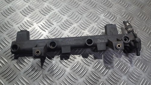 Peugeot 406 1996 Fuel injector rail (injectors)(Fuel distributor)  #287065-02