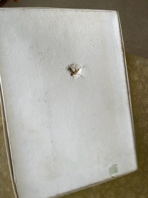 Bild 10 von 11