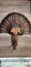 Box Call Handle Turkey Fan Mounting Plaque