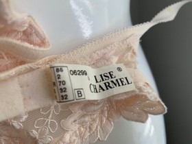 Lise Charmel embroidered mesh demi bra 32B light pink