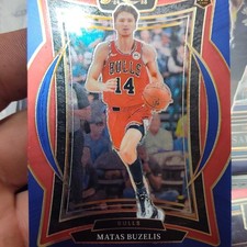 2024-25 Panini Select - Matas Buzelis #70 Concourse Chicago Bulls NBA Basketball