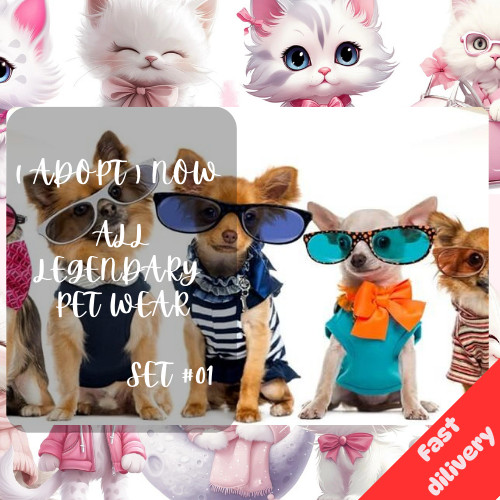 adopt Today Popular Petwear Collectible Trading Items