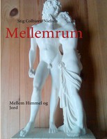 Mellemrum | Mellem Himmel Og Jord | Stig ColbjøRn Nielsen | Taschenbuch | 2011