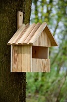 Nistkasten Geflammt HalbhöHle Holz Vogelhaus NischenbrüTer Nest Rotkehlchen