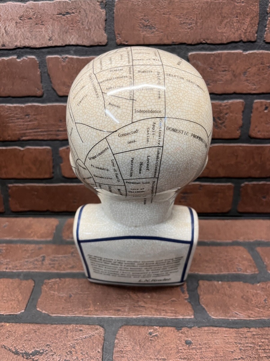 THE PHRENOLOGY オブジェ　サイズ L Amazon.co.jp: オブジェ 置物 ヘッドモデル 頭 人体 パーツ