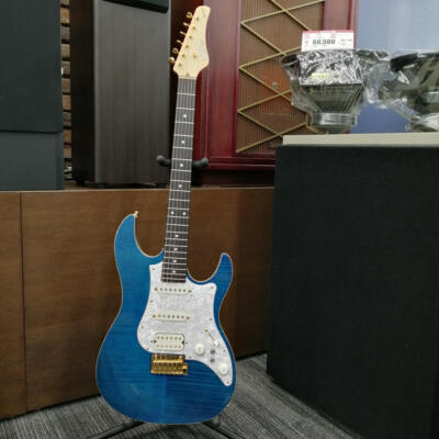 FUJIGEN EOS-FM-R Electric Guitar | eBay 