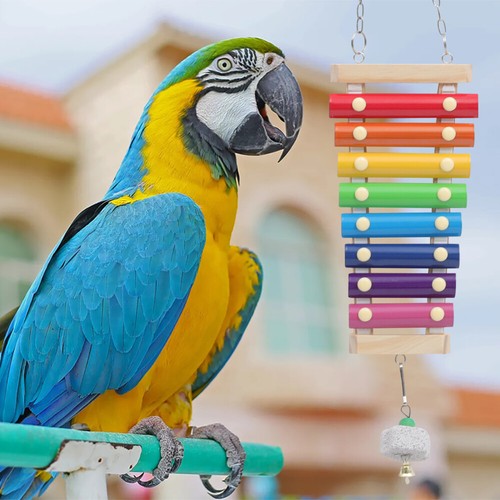 3pcs Bird Food Treat Skewer achats Bird Foraging Toy Parrot Foraging Toys