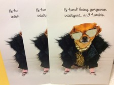 BIRTHDAY RSVP GREETING CARD New w/Envelopes LOT 3 "IT'S HARD BEING GORGEOUS..."