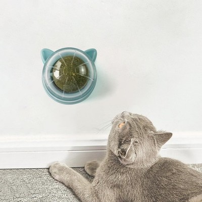 Katzenminze Ball Spielzeug necken Katze drehbar reinigen Boden Schleifen Kauen Katzenspielzeug