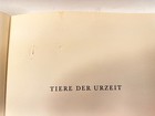 Bild 5 von 24