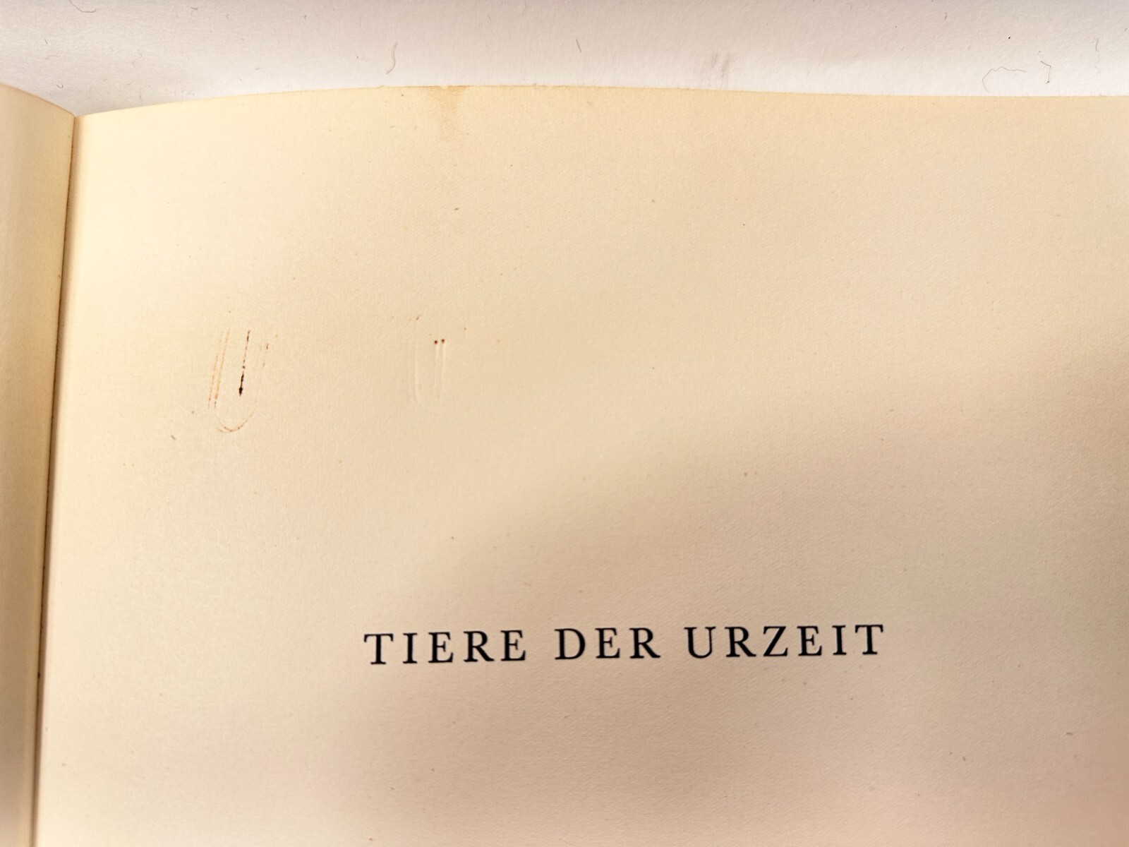 Bild 5 von 24