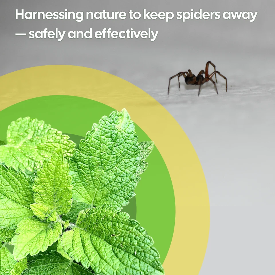 Stop Spider Repellent Deterent Spray. Safe & Natural. 500ml Indoor and Outdoor - Image 3 of 4