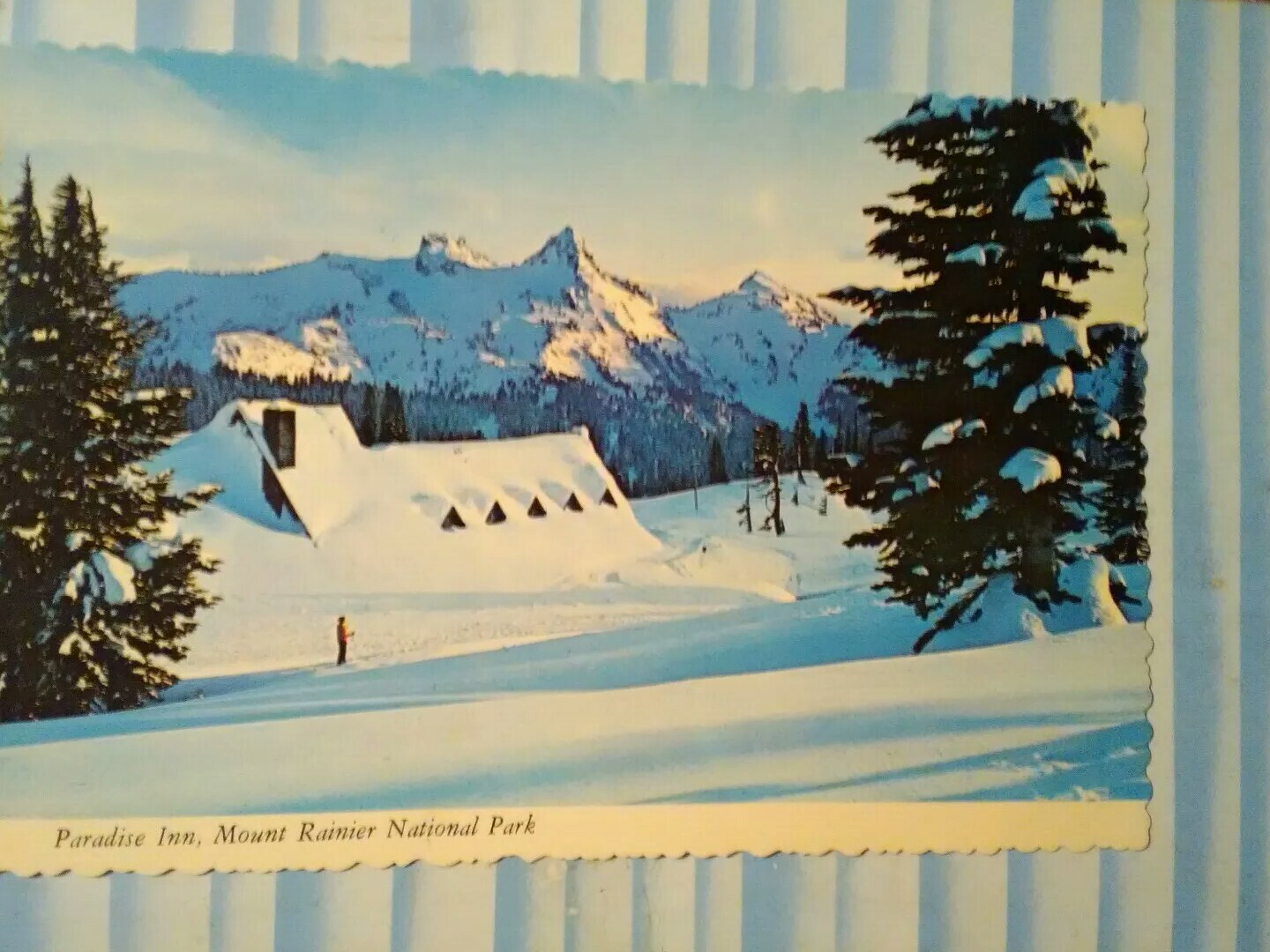 Picture 3 of 12