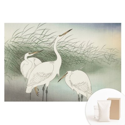Textured Non-Woven Paste the Wall 3D Effect Delicate Birds Among The Grass