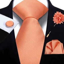 Men  s Apricot Silk Tie Set: Formal Necktie, Pocket Square, Cufflinks  Lapel Pin