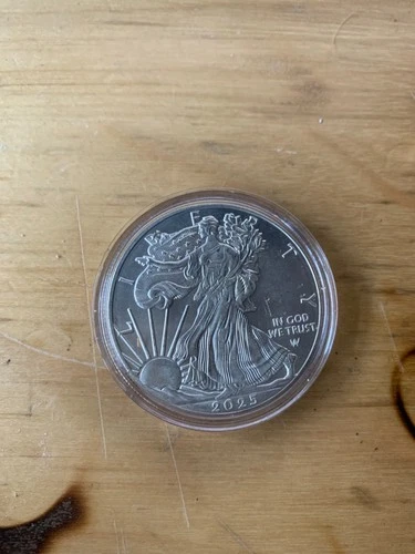 2025-(P) 1 oz American Silver Eagle Coin BU (Eagle Privy)